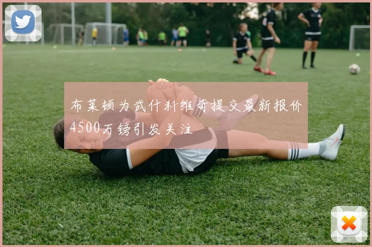 布莱顿为武什科维奇提交最新报价4500万镑引发关注